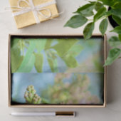 Lilac Blume - Primus Inter Pares Seidenpapier (Geschenk)