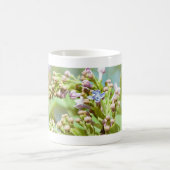 Lilac Blume - Primus Inter Pares Verwandlungstasse (Mittel)