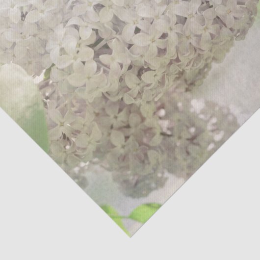 Lilac Blume Soft White Country Botanic Seidenpapier (Ausschnitt)
