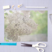 Lilac Blume Soft White Country Botanic Seidenpapier (Handwerk)
