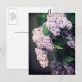 Lilac Bouquet mit Vignette Postkarte (Vorne/Hinten)