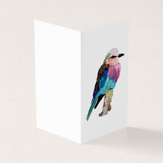 Lilac Breasted Roller Bird (Vorderseite)