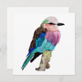 Lilac Breasted Roller Bird Feiertagskarte (Vorne/Hinten)
