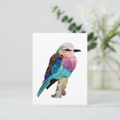 Lilac Breasted Roller Bird Postkarte (Stehend Vorderseite)