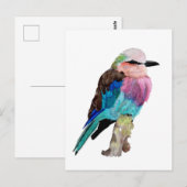 Lilac Breasted Roller Bird Postkarte (Vorne/Hinten)