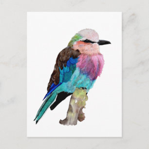 Lilac Breasted Roller Bird Postkarte
