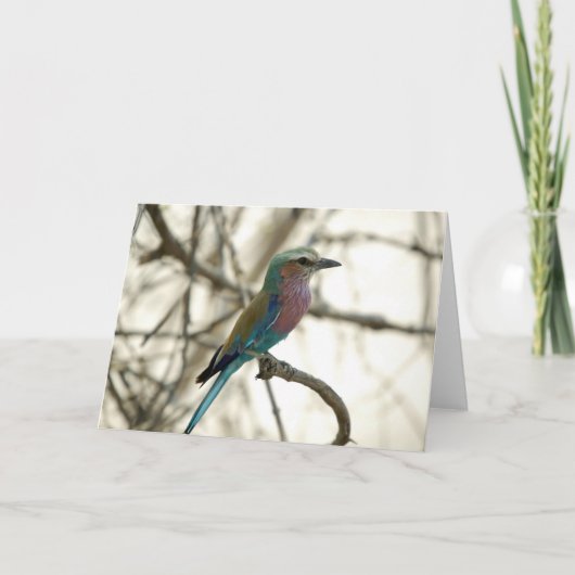 Lilac Breasted Roller Karte (Vorderseite)