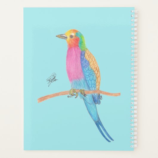 LILAC-BREASTED ROLLER PLANER (Rückseite)