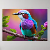 Lilac-Breasted Roller Poster (Vorne)