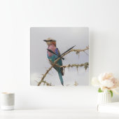Lilac Breastroller Bird Clock Quadratische Wanduhr (Zuhause)
