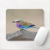 Lilac-Brustwalze (Coracias caudata) Mousepad (Mit Mouse)
