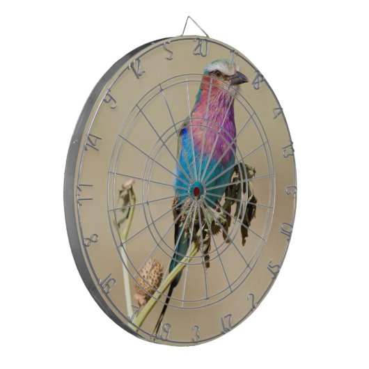 Lilac Brustwalze Dartscheibe (Vorderseite Links)