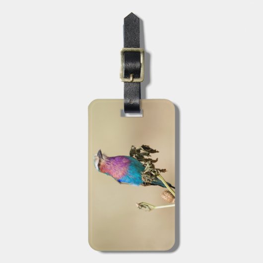 Lilac Brustwalze Gepäckanhänger (Vorderseite vertikal)