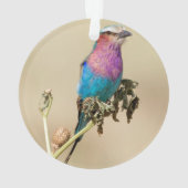 Lilac Brustwalze Ornament (Rückseite)