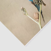 Lilac Brustwalze Seidenpapier (Ausschnitt)