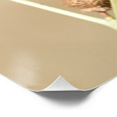 Lilac-Brutwalze Poster (Ecke)