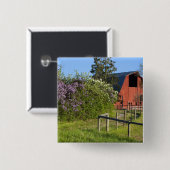 Lilac-Büsche in Blüten und Maden in den Bäumen Button (Vorne & Hinten)