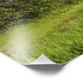 Lilac-Büsche in Blüten und Magiden in den Bäumen Fotodruck (Ecke)