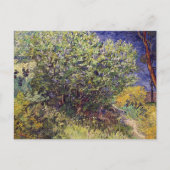 Lilac Bush Landscape Vincent van Gogh Postkarte (Vorderseite)