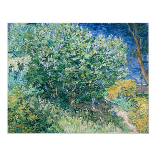 Lilac Bush (Lilacs) von Vincent Van Gogh Fotodruck (Vorne)