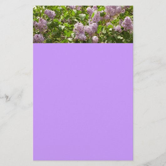 Lilac Bush Schöne Lila Frühlingsblumen Briefpapier (Vorderseite)