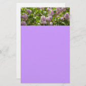 Lilac Bush Schöne Lila Frühlingsblumen Briefpapier (Vorne/Hinten)