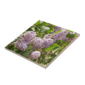 Lilac Bush Schöne Lila Frühlingsblumen Fliese (Seite)