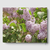 Lilac Bush Schöne Lila Frühlingsblumen Gästebuch (Rückseite)