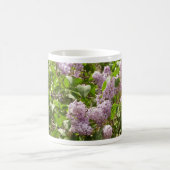 Lilac Bush Schöne Lila Frühlingsblumen Kaffeetasse (Mittel)