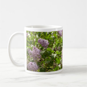 Lilac Bush Schöne Lila Frühlingsblumen Kaffeetasse