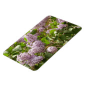 Lilac Bush Schöne Lila Frühlingsblumen Magnet (Linke Seite)