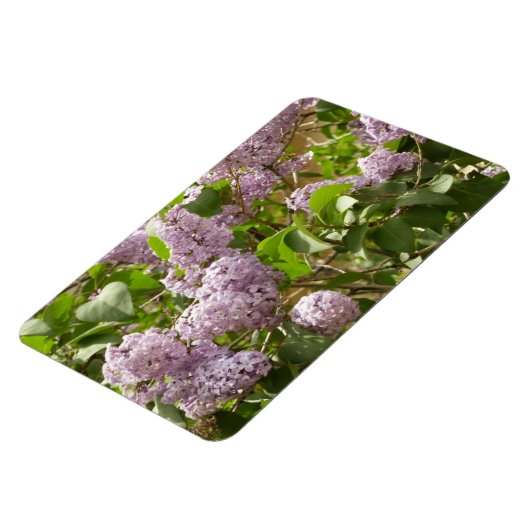Lilac Bush Schöne Lila Frühlingsblumen Magnet (Linke Seite)