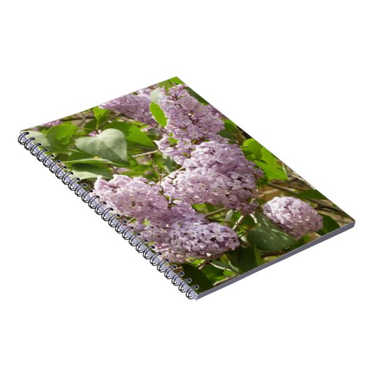 Lilac Bush Schöne Lila Frühlingsblumen Notizblock (Rechte Seite)