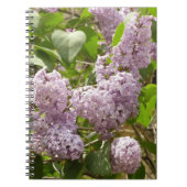 Lilac Bush Schöne Lila Frühlingsblumen Notizblock (Vorderseite)