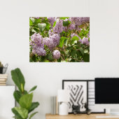 Lilac Bush Schöne Lila Frühlingsblumen Poster (Heimbüro)