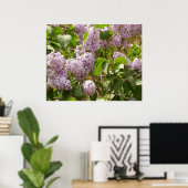 Lilac Bush Schöne Lila Frühlingsblumen Poster (Heimbüro)