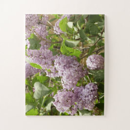 Lilac Bush Schöne Lila Frühlingsblumen Puzzle