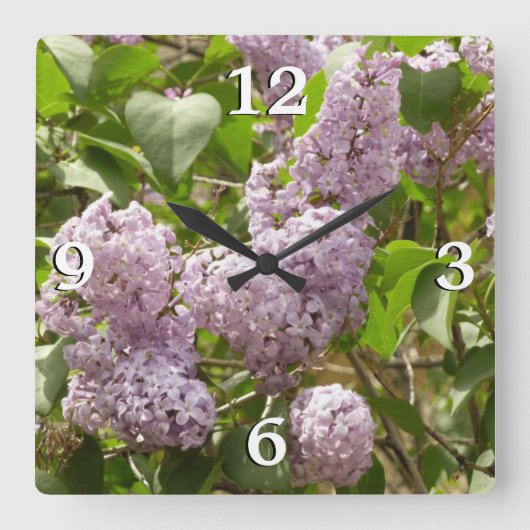 Lilac Bush Schöne Lila Frühlingsblumen Quadratische Wanduhr (Vorderseite)