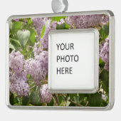 Lilac Bush Schöne Lila Frühlingsblumen Rahmen-Ornament Silber (Links)