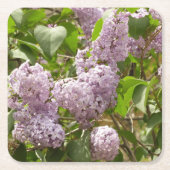 Lilac Bush Schöne Lila Frühlingsblumen Rechteckiger Pappuntersetzer (Vorderseite)