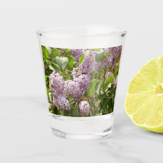 Lilac Bush Schöne Lila Frühlingsblumen Schnapsglas (Vorderseite)