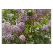 Lilac Bush Schöne Lila Frühlingsblumen Schneidebrett (Vorderseite)