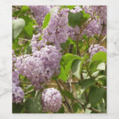 Lilac Bush Schöne Lila Frühlingsblumen Weinetikett (Einzelnes Label)