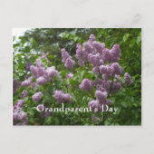 Lilac Bush-Syringa blühende Woody-Pflanze Postkarte (Vorderseite)
