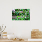 Lilac Bush und Blume wachsen durch Holzschritte Poster (Küche)