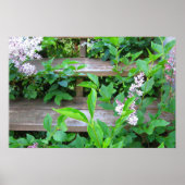 Lilac Bush und Blume wachsen durch Holzschritte Poster (Vorne)