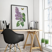 Lilac Butterfly Botanical Jean Bois Poster