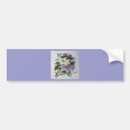 Lilac Clematis Vine Acrylmalerei Autoaufkleber (Vorne)