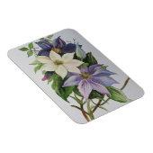 Lilac Clematis Vine Acrylmalerei Magnet (Rechte Seite)