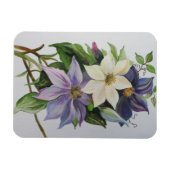 Lilac Clematis Vine Acrylmalerei Magnet (Horizontal)